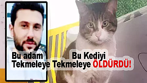 Türkiye bu vahşeti konuşuyor! Kedi Eros'un katili İbrahim Keloğlan'ın cezası belli oldu