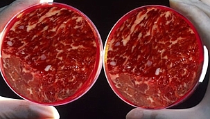 ABD Yasaklıyor: Yapay Et; Sahte Et!