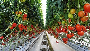 KARATAŞ TARIMA DAYALI İHTİSAS (SERA) ORGANİZE SANAYİ BÖLGESİNİN ALTYAPI YAPIM İŞİ İHALESİ GERÇEKLEŞTİRİLİYOR 