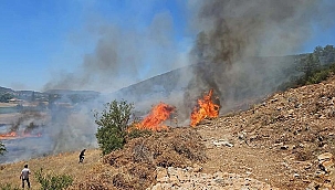 Muğla'daki orman yangınına müdahale ediliyor