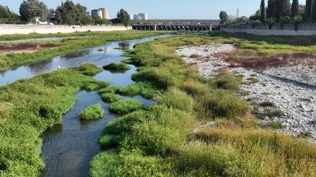 "Seyhan Nehri'nde İş Makineleriyle Temizliğe Başladık"