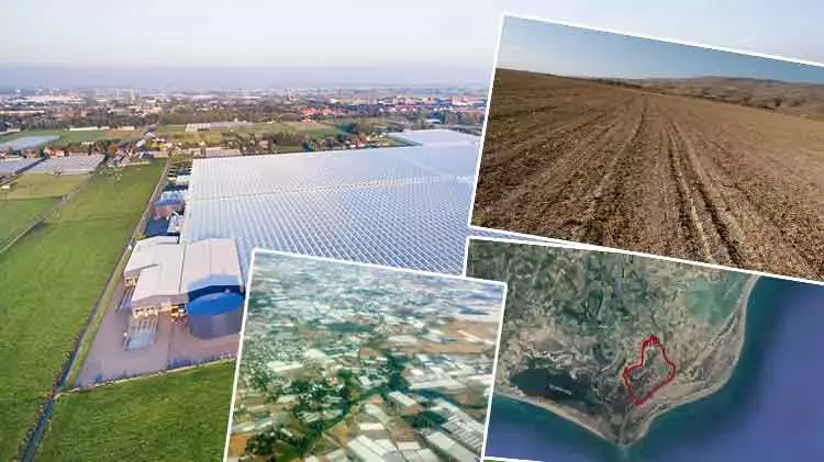 Türkiye'nin en büyük sanayi sera kümelenmesi Adana'da kuruluyor: Avrupa'da bir ilk olacak: 5 bin kişiye istihdam sağlanacak