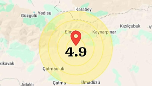 Bingöl'de Korkutan Deprem! 