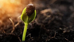 Öldükten Sonra Dirilme İle İlgili Ayet ve Hadisler 