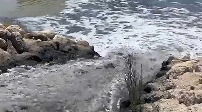 Artık Bu Skandala Bir Son Vermeli!