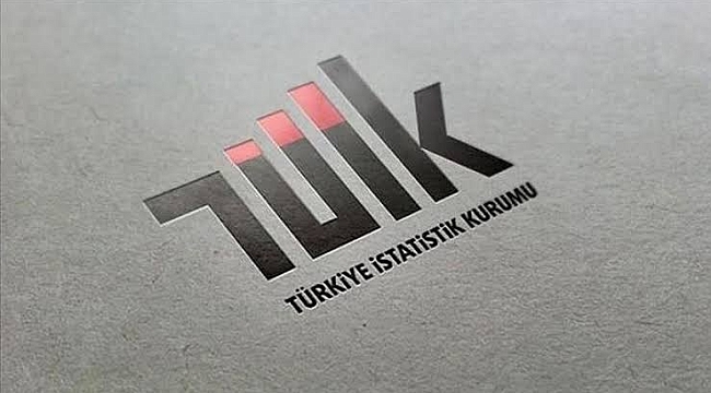 TÜİK verileriyle Hanehalkı Tüketim Harcaması, 2024
