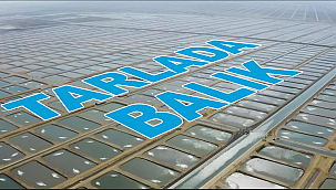 ADANA'DA TARLADAN BALIK FIŞKIRACAK, BİNLERCE KİŞİYE İSTİHDAM SAĞLANACAK
