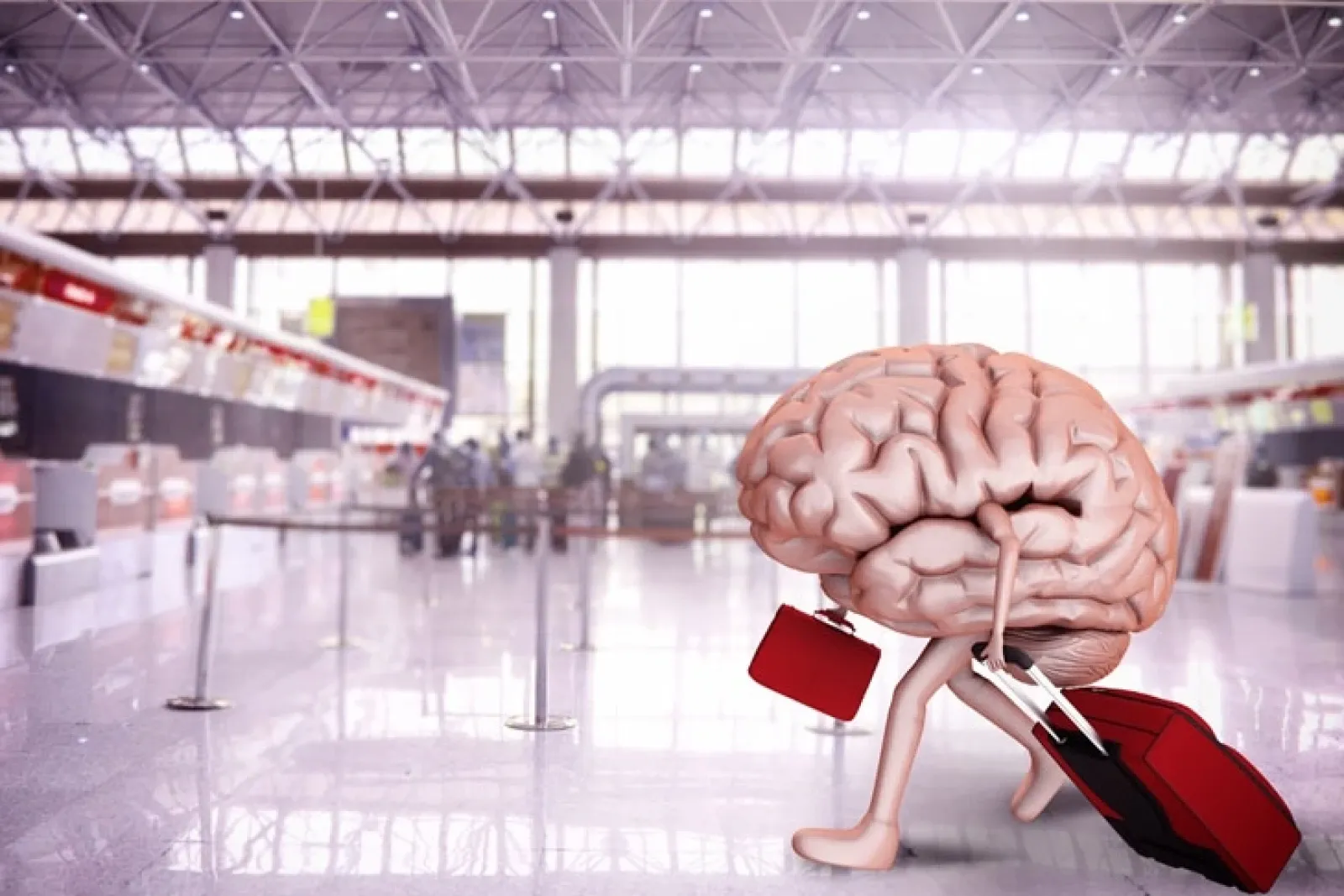 TUİK | Yükseköğretim Beyin Göçü İstatistikleri, 2024