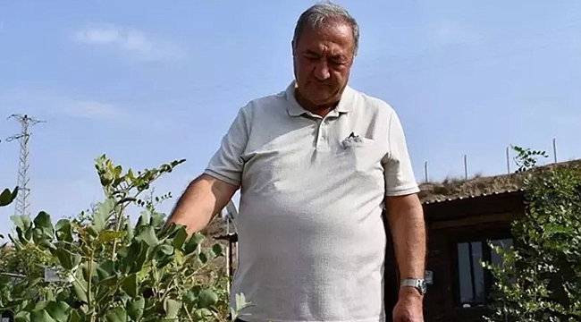 Emekli Makine Mühendisi Taşlık Araziyi Tarıma Kazandırdı 