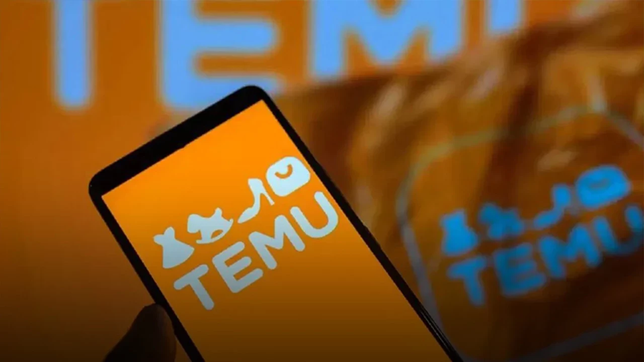 Temu'dan gümrük hamlesi: Türkiye'de şirket kurdu 