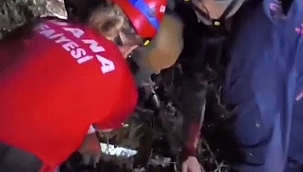 Ormanlık alanda mahsur kalan kişi ekiplerin çalışmasıyla kurtarıldı    