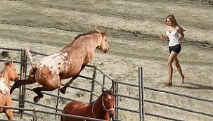 Yıllar Sonra Sahipleriyle Buluşan VEFALI HAYVANLAR -II-