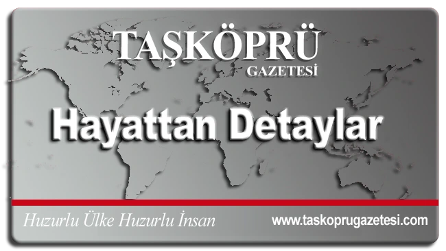 Hayattan Detaylar